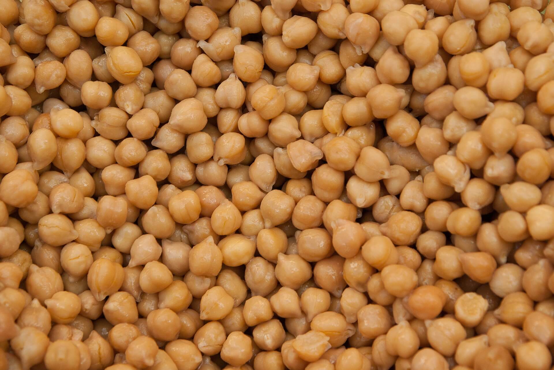 A close up of some chickpeas